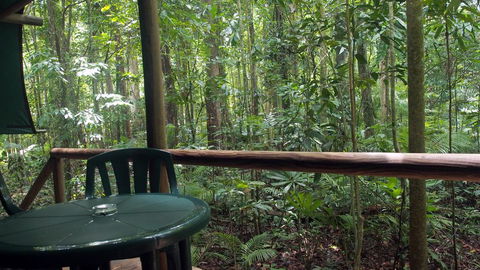 Daintree Crocodylus - Accommodation Bookings 2