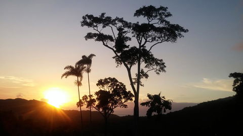 Daintree Holiday Homes - Yurara - Accommodation Bookings 0