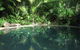 Daintree Rainforest Retreat Motel - thumb 0