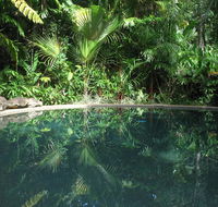 Daintree Rainforest Retreat Motel - Accommodation Bookings