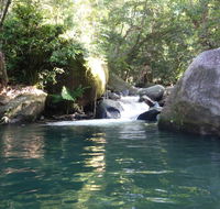 Daintree Secrets Rainforest Sanctuary - Accommodation Bookings