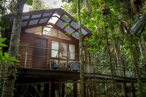 Daintree Wilderness Lodge - Accommodation Bookings 2