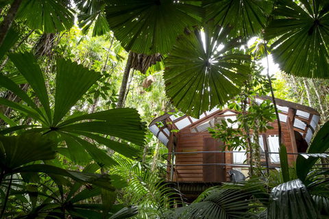 Daintree Wilderness Lodge - Accommodation Bookings 1