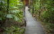 Daintree Wilderness Lodge - thumb 3