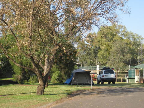 Dalby Tourist Park - Accommodation Bookings 3