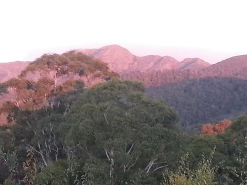 Day Dream Cottage - Accommodation Bookings 2