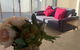 Delicate And Peaceful Bundoora Townhouse 12-R4 - thumb 1