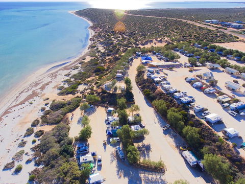 Denham Seaside Caravan Park - Accommodation Bookings 0