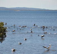 Denmark Waters BB - Accommodation Bookings
