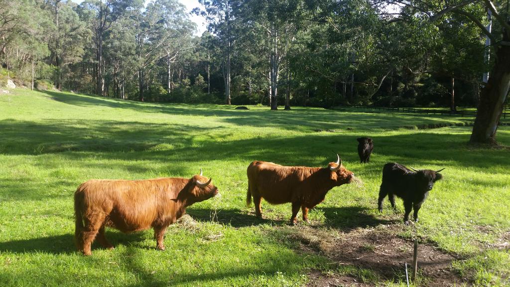 Kenthurst NSW Accommodation Bookings