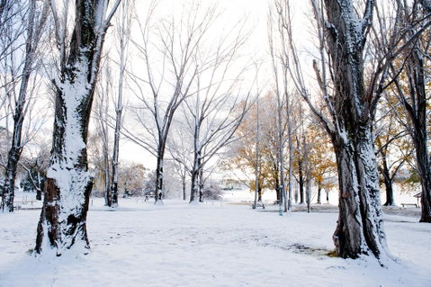 Discovery Parks - Jindabyne - Accommodation Bookings 3