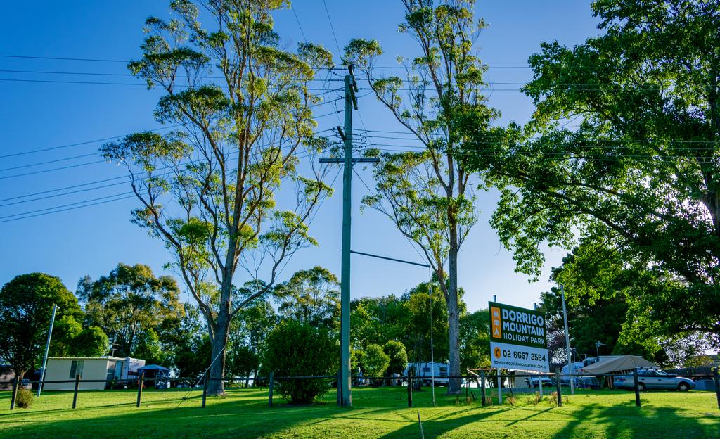 Dorrigo NSW Accommodation Bookings