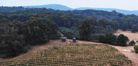 Double Oaks Tiny House - Accommodation Bookings 0