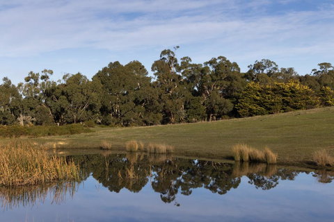 Double Oaks Tiny House - Accommodation Bookings 1