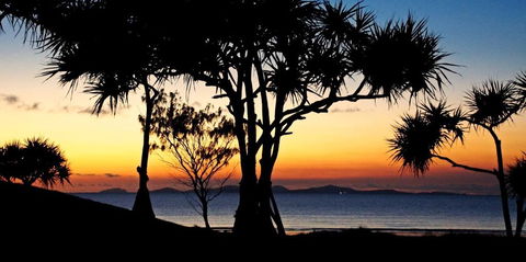Driftwood Motel And Holiday Units - Accommodation Bookings 2