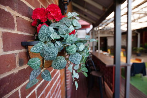 Duke's Inn - Accommodation Bookings 2
