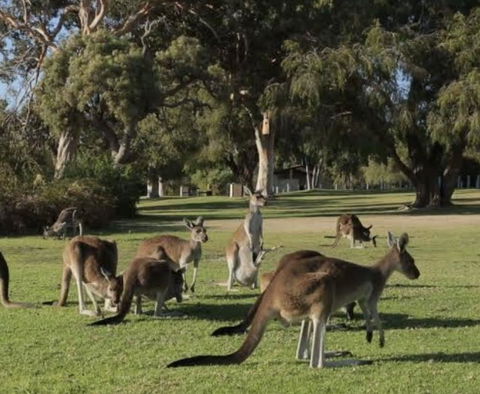 Eastern Hill Creswick - Accommodation Bookings 1