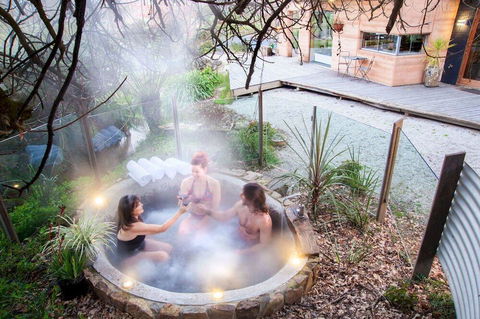 Eco Villa Mt. Beauty-Near Falls Creek & Bright - Accommodation Bookings 1