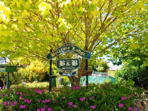 Eden Bed & Breakfast - Accommodation Bookings 0