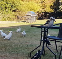 Eildon Parkview Motor Inn - Accommodation Bookings