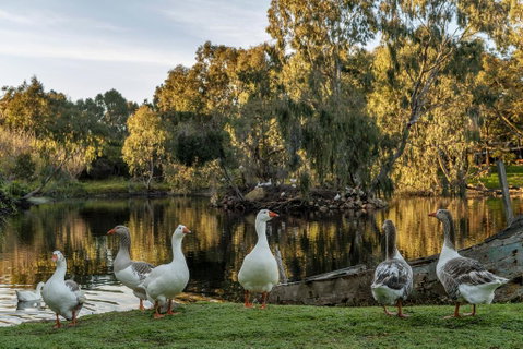 Empire Spa Retreat - Accommodation Bookings 2