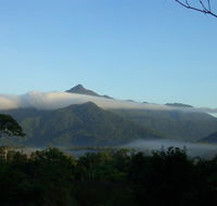 Epiphyte B  B - Accommodation Bookings