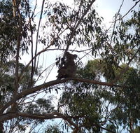 Escape to the Country - Enjoy the firepit or explore magical Bunya Mountains