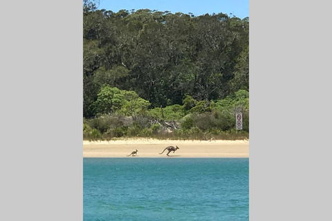 FAIRVIEW COTTAGE 25B - Waterfront Accommodation - Accommodation Bookings 0