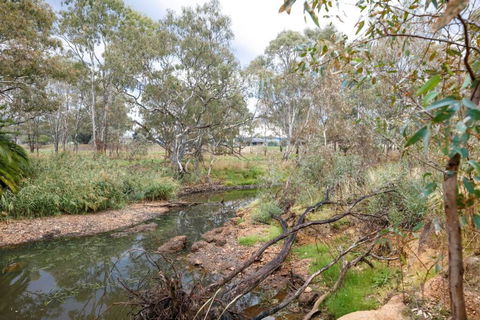 Faraday On Avoca - Accommodation Bookings 3