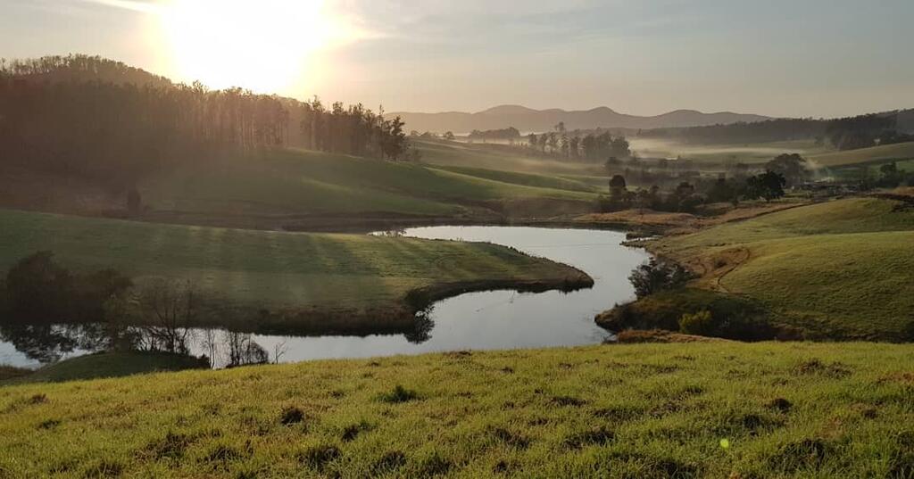 Toms Creek NSW Accommodation Bookings