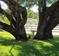 Farm Stay Studio - Accommodation Bookings