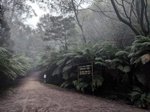 Fern Tree Tavern - Accommodation Bookings 2