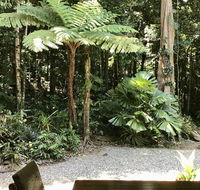 Forest Views Daintree - Accommodation Bookings
