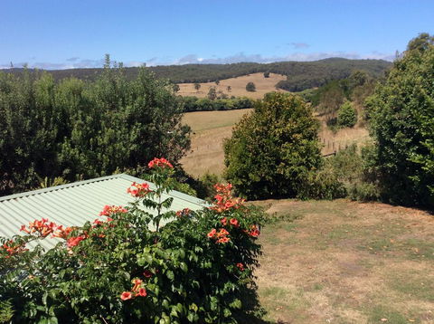Forrest Blue Wren Studio - Accommodation Bookings 1