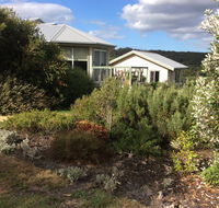 Forrest Willy Wagtail Studio