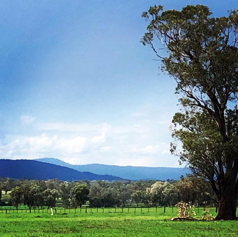 Fourjay Farmstay - Accommodation Bookings 0