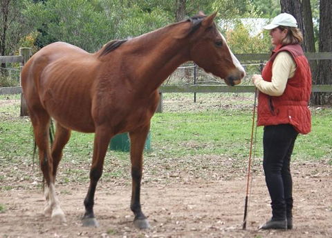 Fullcircle Farm - Accommodation Bookings 2