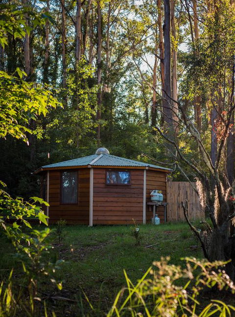 Funky Yurt On Acreage - Accommodation Bookings 3