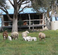 Gaddleen Grove Cottages