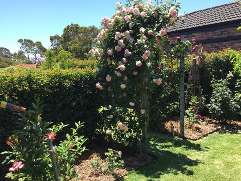 Garden Apartment - Accommodation Bookings 3