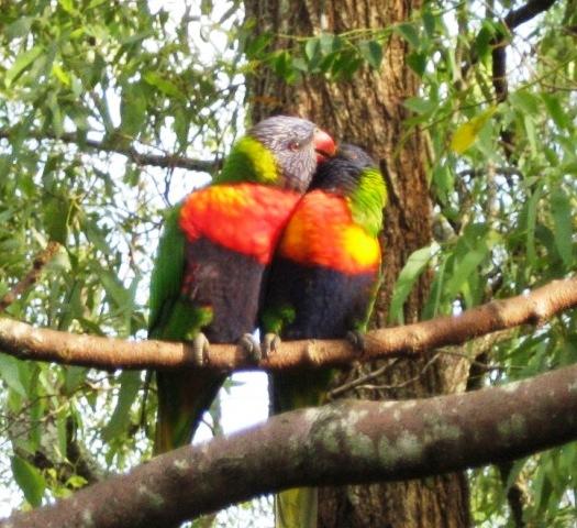 Bunya QLD Accommodation Bookings