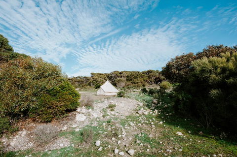 Glamping @ September Beach, Lincoln National Park - Accommodation Bookings 1