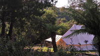 Book Zeehan Accommodation Vacations Accommodation Bookings Accommodation Bookings