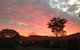 Country Lodge Motel - thumb 3