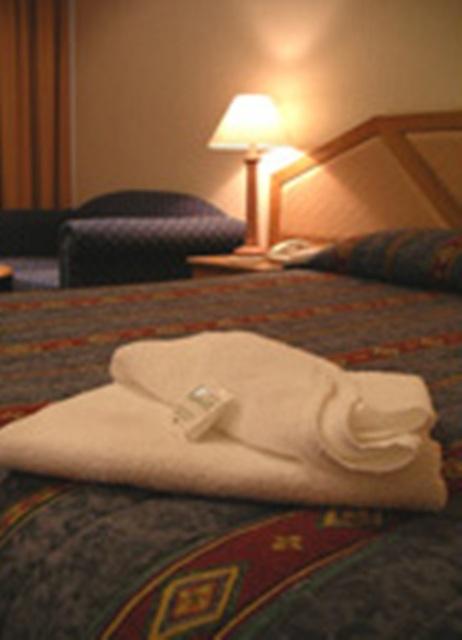 Goulburn Central Motor Lodge - Accommodation Bookings 3