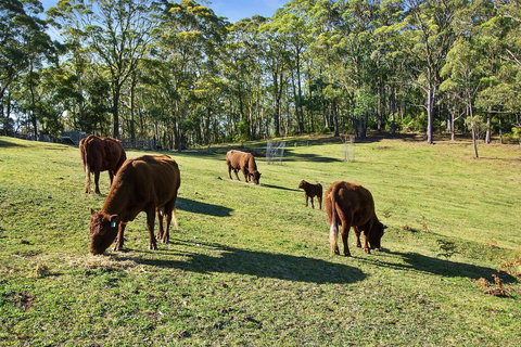 GOWAN ROSS COTTAGE - Accommodation Bookings 1