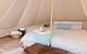 Grapevine Glamping - thumb 1