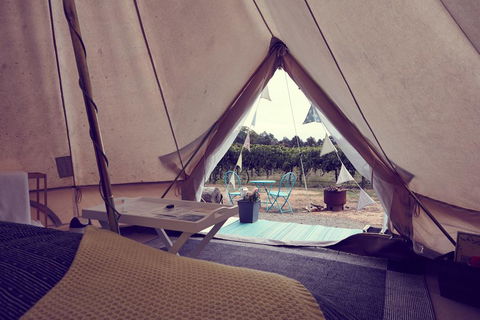 Grapevine Glamping - Accommodation Bookings 3