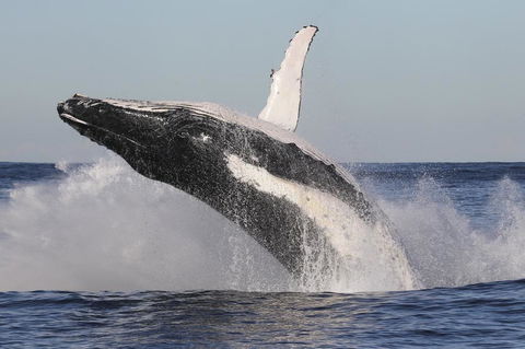 Green Cape Lightstation Cottages - Accommodation Bookings 1