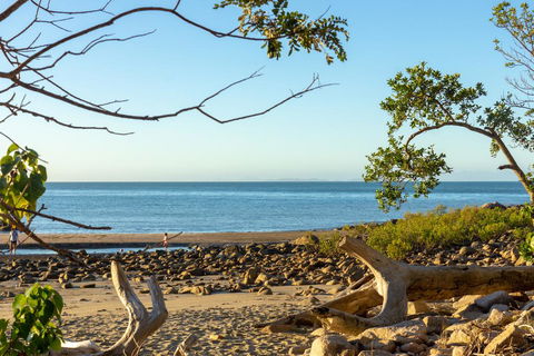 Halliday Bay Resort - Accommodation Bookings 1